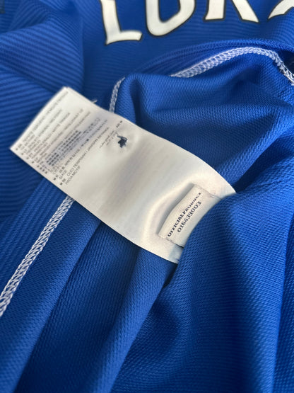 Everton 2014-15 Home Long Sleeves #10 Lukaku (M)
