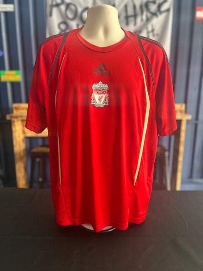 Liverpool 2009-10 Training Shirt (XL)