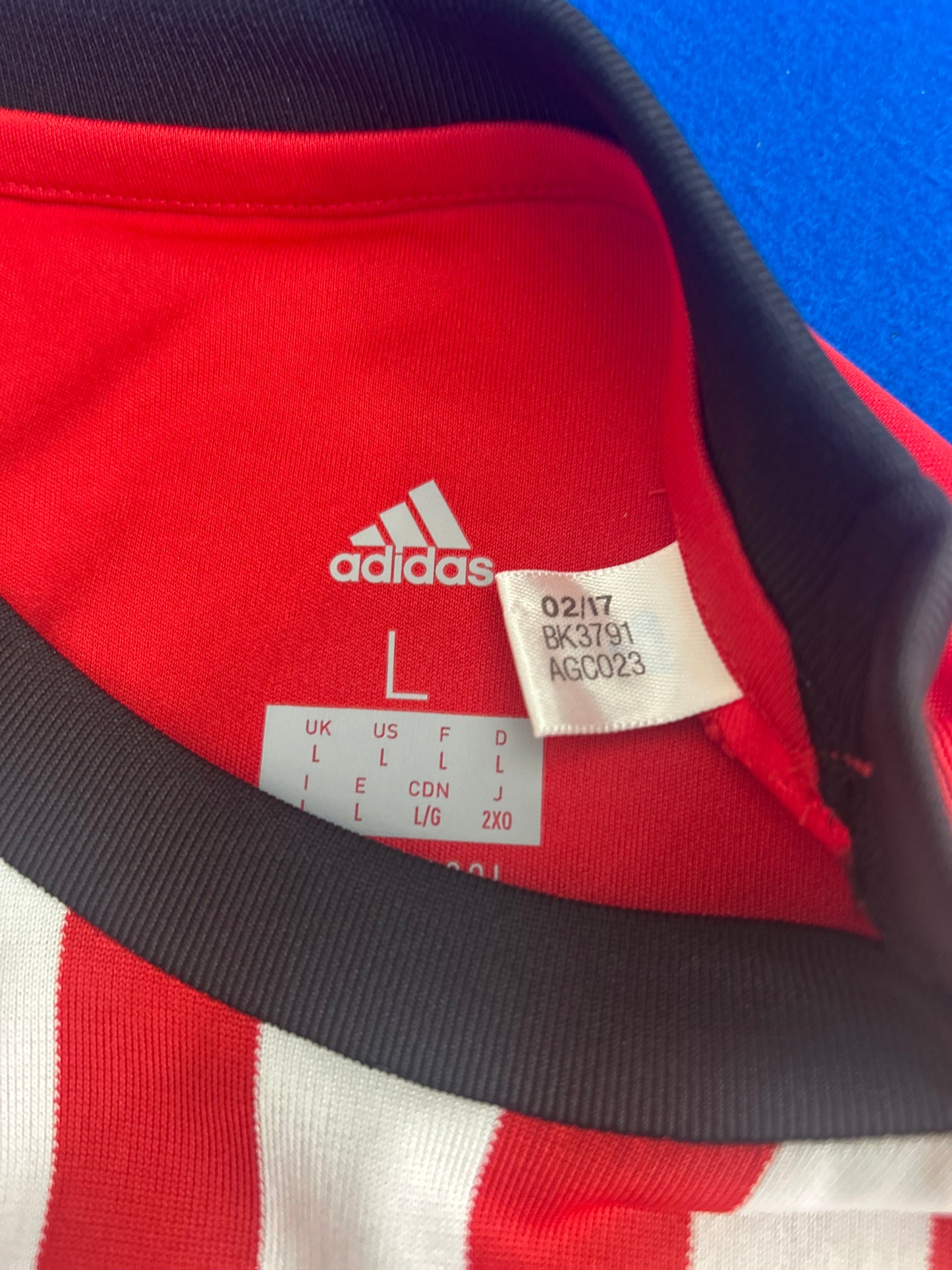 Sunderland 2017-18 Bradley Lowery Foundation Home (L)