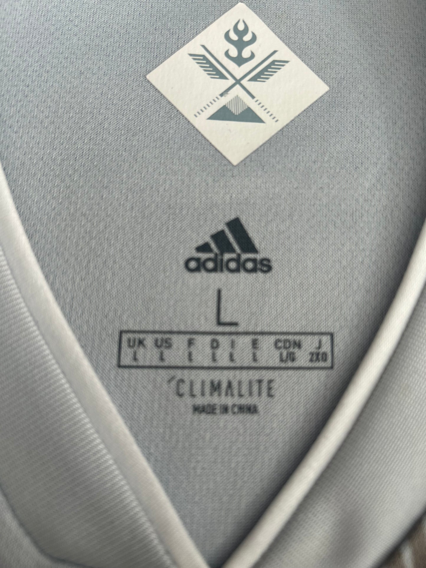 Japan 2018-19 Away (L)